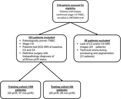 Longitudinal dynamic contrast-enhanced MRI radiomic models for early prediction of response to neoadjuvant systemic therapy in triple-negative breast cancer